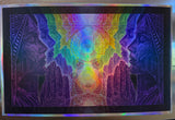 HOLO PRAY BUNDLE