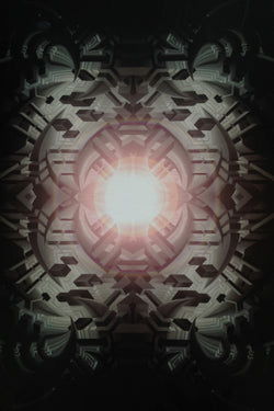 ENVIRONMENT I SIGNED PRINT