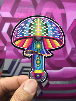 MINI ISO RAINBOW AGARIC